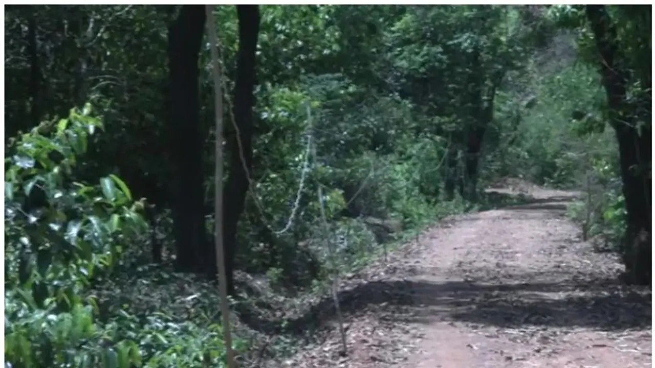 অদ্ভুদ Lifestyle, একটি মাত্র স্বপ্ন নিয়ে ১৭ বছর গাড়িতে বনবাসে এই মানুষটি অদ্ভুদ Lifestyle, একটি মাত্র স্বপ্ন নিয়ে ১৭ বছর গাড়িতে বনবাসে এই মানুষটি