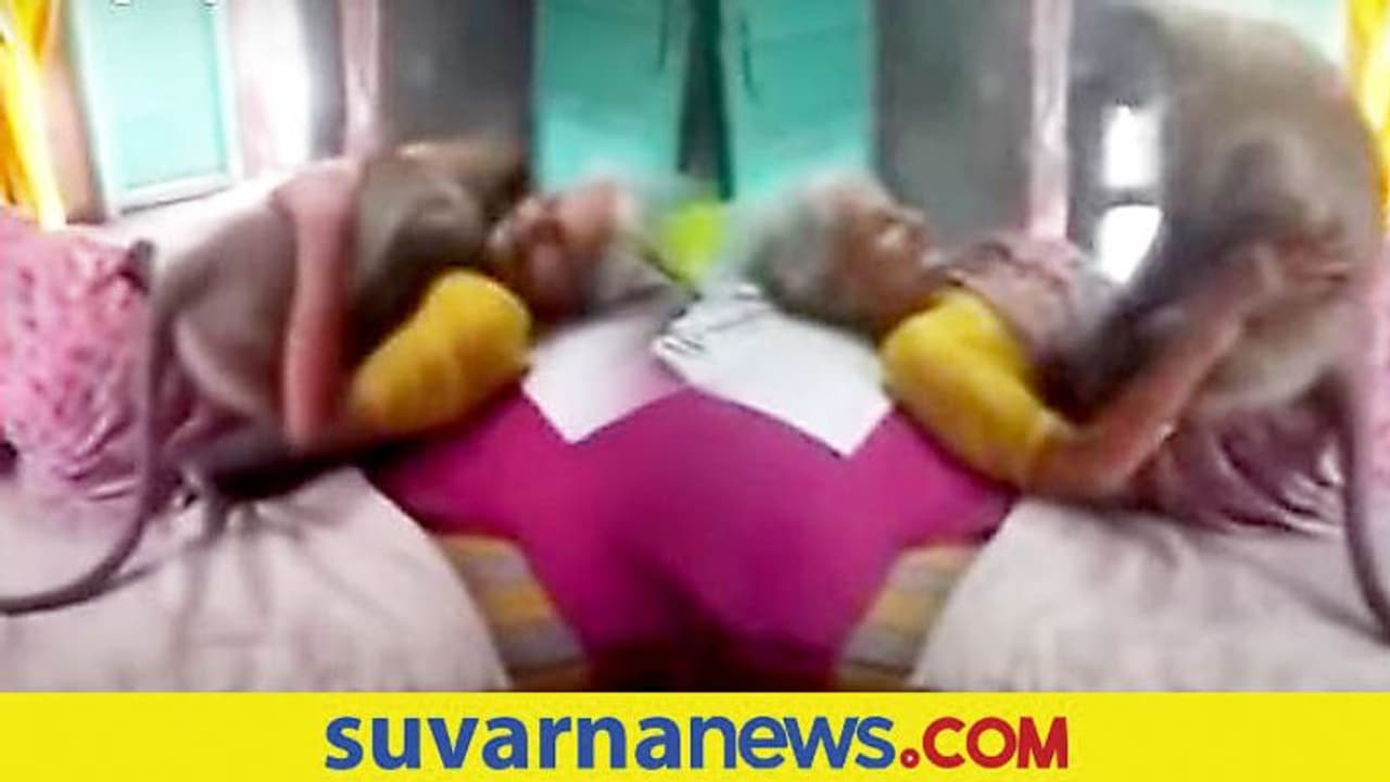 ಆಹಾರ ನೀಡ್ತಿದ್ದ ಅಜ್ಜಿಗೆ ಅನಾರೋಗ್ಯ, ಅಪ್ಪಿ ಸಾಂತ್ವನ ಹೇಳಿದ ವಾನರ; ವಿಡಿಯೋ ಆಹಾರ ನೀಡ್ತಿದ್ದ ಅಜ್ಜಿಗೆ ಅನಾರೋಗ್ಯ, ಅಪ್ಪಿ ಸಾಂತ್ವನ ಹೇಳಿದ ವಾನರ; ವಿಡಿಯೋ