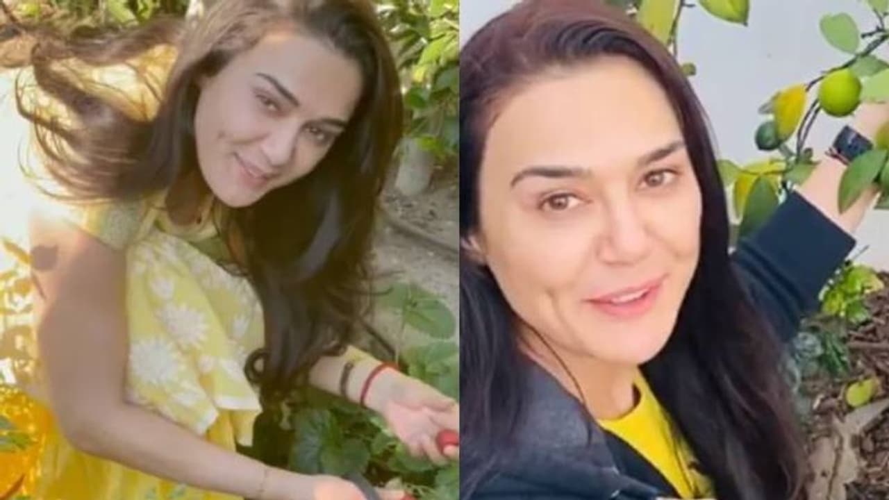 വീട്ടില്‍ വളര്‍ന്ന സ്‌ട്രോബെറി പറിച്ചെടുക്കുന്ന പ്രീതി സിന്‍റ; പുതിയ വീഡിയോയും വൈറല്‍