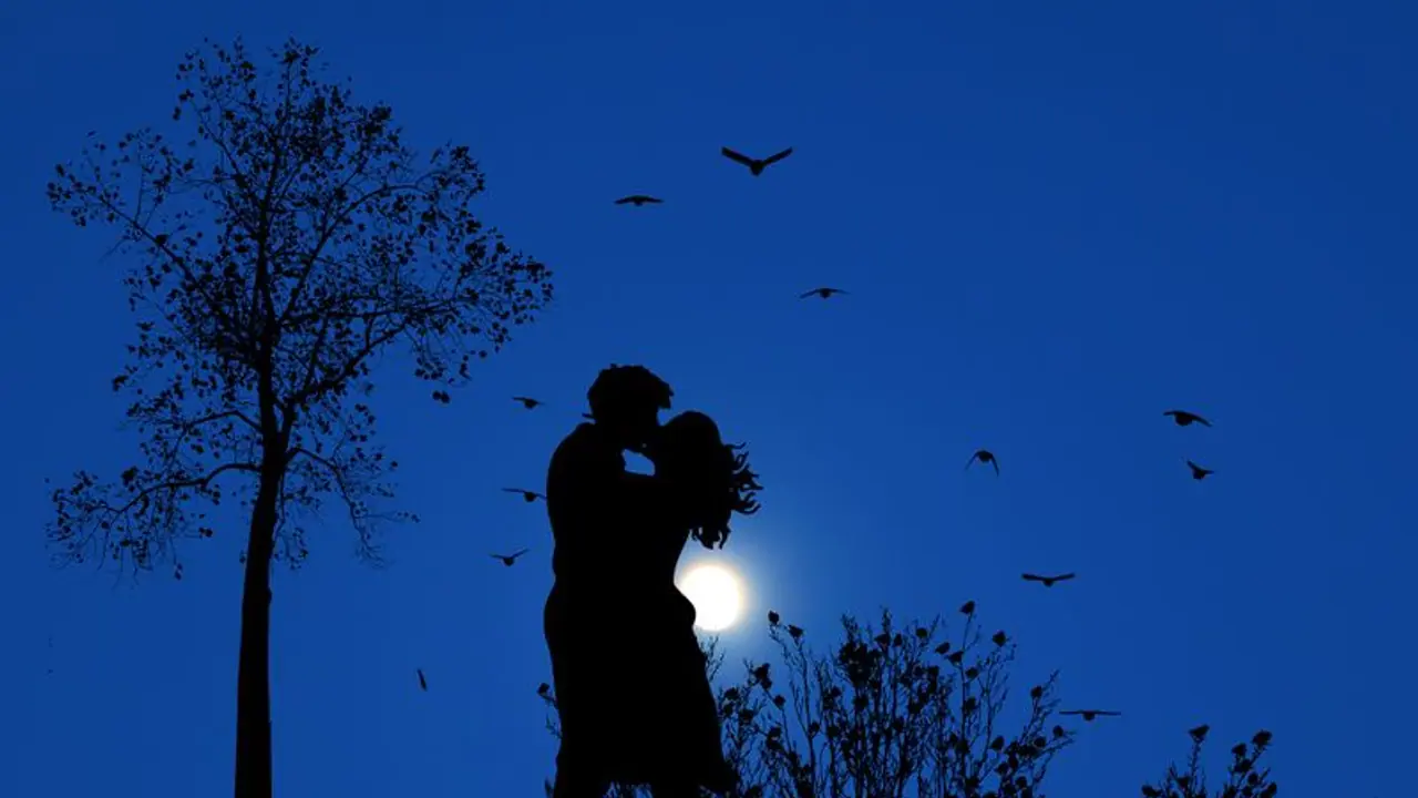 ಇಲ್ಲಿ ಕಿಸ್ ಮಾಡುವಂತಿಲ್ಲ; ಜೋಡಿಗಳ ಚುಂಬನ ನೋಡಲಾರದೆ ಬೋರ್ಡ್ ಹಾಕಿದ ಹೌಸಿಂಗ್ ಸೊಸೈಟಿ! ಇಲ್ಲಿ ಕಿಸ್ ಮಾಡುವಂತಿಲ್ಲ; ಜೋಡಿಗಳ ಚುಂಬನ ನೋಡಲಾರದೆ ಬೋರ್ಡ್ ಹಾಕಿದ ಹೌಸಿಂಗ್ ಸೊಸೈಟಿ!