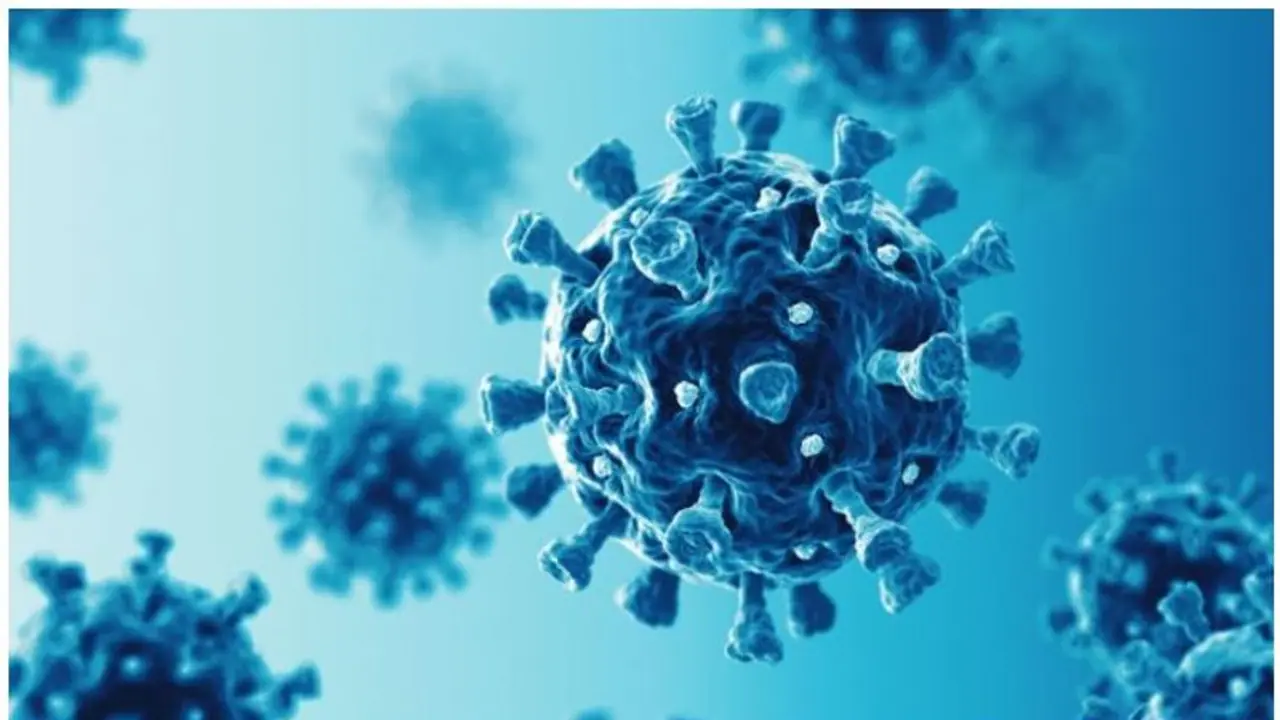 കൊവിഡ് അവസാനിച്ചിട്ടില്ല; നിയന്ത്രണങ്ങൾ‌ ഒഴിവാക്കുന്നതിനെതിരെ വിമര്‍ശനവുമായി ഡബ്ല്യുഎച്ച്ഒ