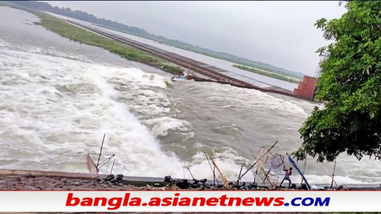 জন্মদিনেই দামোদরে তলিয়ে গেল কিশোর সেলফির নেশাই কীভাবে ডেকে আনল বিপদ, দেখুন