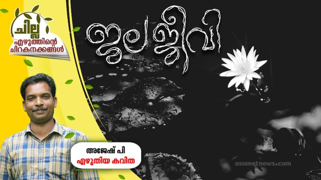 ജലജീവി, അജേഷ് പി എഴുതിയ കവിത