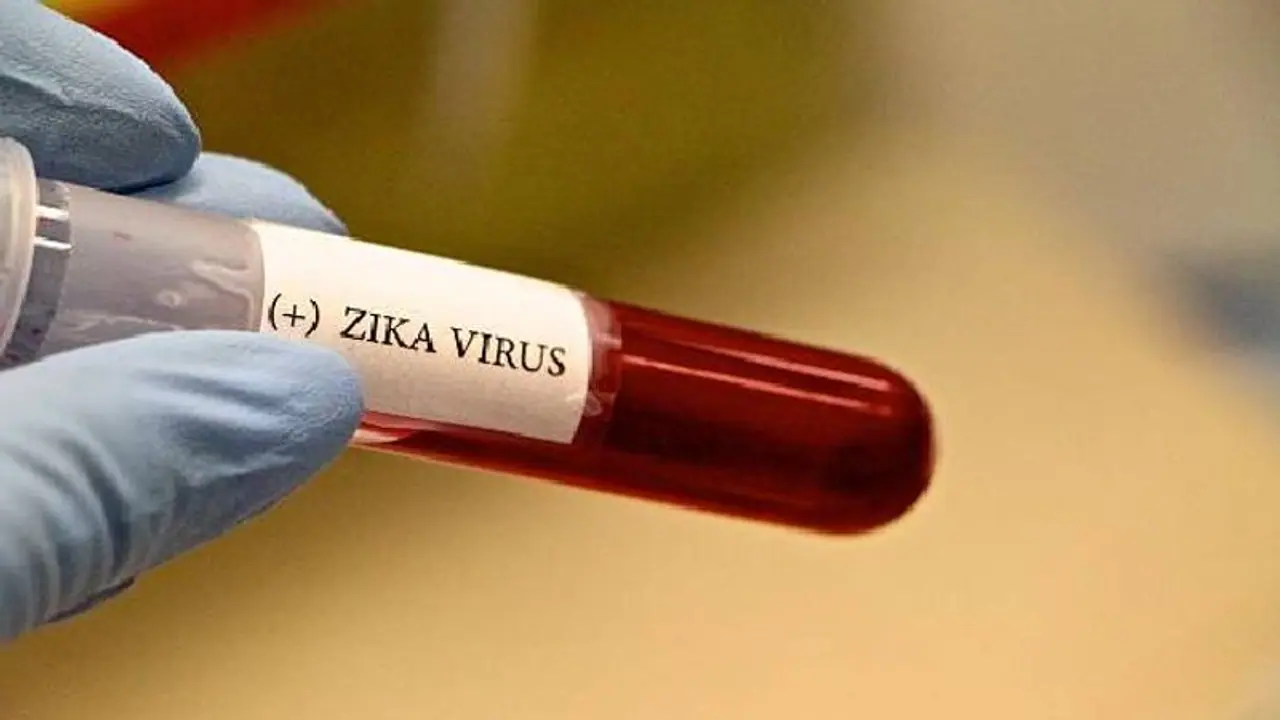 Zika Virus করোনার মধ্যেই আতঙ্কের আর এক নাম জিকা, শুধু কানপুরেই নতুন করে আক্রান্ত ৩০