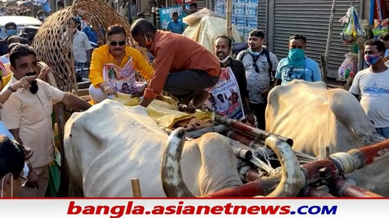পেট্রোপণ্যের মূল্যবৃদ্ধি নিয়ে অভিনব প্রতিবাদ মদন মিত্রর, গরুর গাড়ি চড়লেন বিধায়ক পেট্রোপণ্যের মূল্যবৃদ্ধি নিয়ে অভিনব প্রতিবাদ মদন মিত্রর, গরুর গাড়ি চড়লেন বিধায়ক