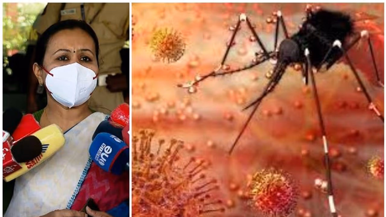 സിക്ക, ഡെങ്കിപ്പനി പ്രതിരോധം: എല്ലാ ജില്ലകളും ആക്ഷന് പ്ലാന്, മൈക്രോ കണ്ടൈന്മെന്റ് ശക്തമാക്കും സിക്ക, ഡെങ്കിപ്പനി പ്രതിരോധം: എല്ലാ ജില്ലകളും ആക്ഷന് പ്ലാന്, മൈക്രോ കണ്ടൈന്മെന്റ് ശക്തമാക്കും