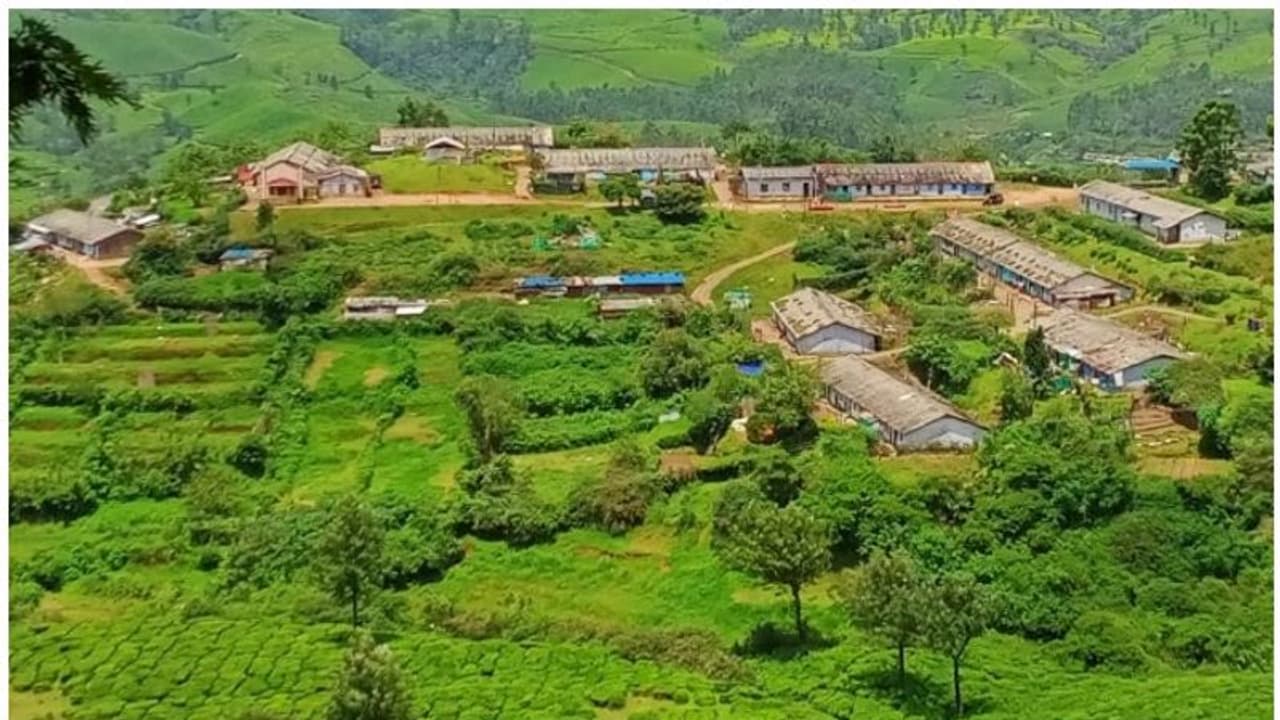 തോട്ടങ്ങളിൽ തൊഴിൽ വകുപ്പിന്റെ പരിശോധന; മിക്കയിടങ്ങളിലും ലയങ്ങൾ ശോച്യാവസ്ഥയിൽ, കർശന നടപടിയെന്ന് മുന്നറിയിപ്പ് തോട്ടങ്ങളിൽ തൊഴിൽ വകുപ്പിന്റെ പരിശോധന; മിക്കയിടങ്ങളിലും ലയങ്ങൾ ശോച്യാവസ്ഥയിൽ, കർശന നടപടിയെന്ന് മുന്നറിയിപ്പ്