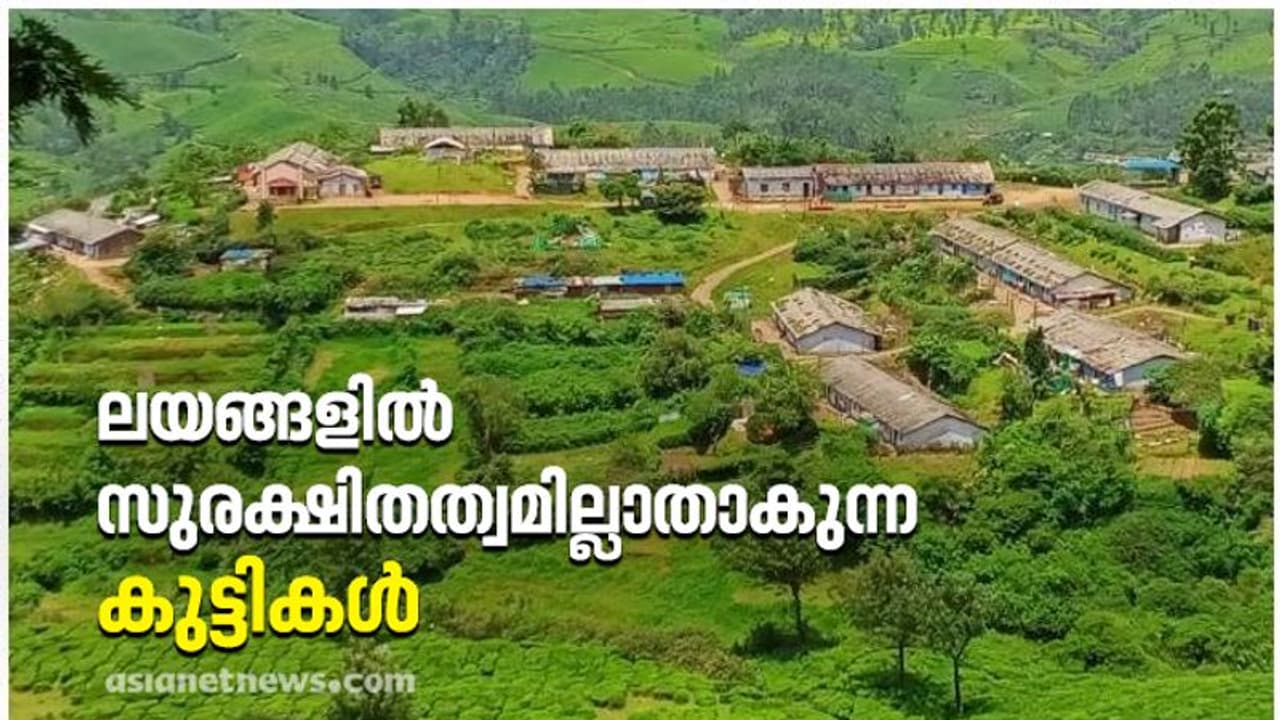 ഇടുക്കി; ലയങ്ങളില് സുരക്ഷിതത്വമില്ലാതാകുന്ന കുട്ടികള് ഇടുക്കി; ലയങ്ങളില് സുരക്ഷിതത്വമില്ലാതാകുന്ന കുട്ടികള്