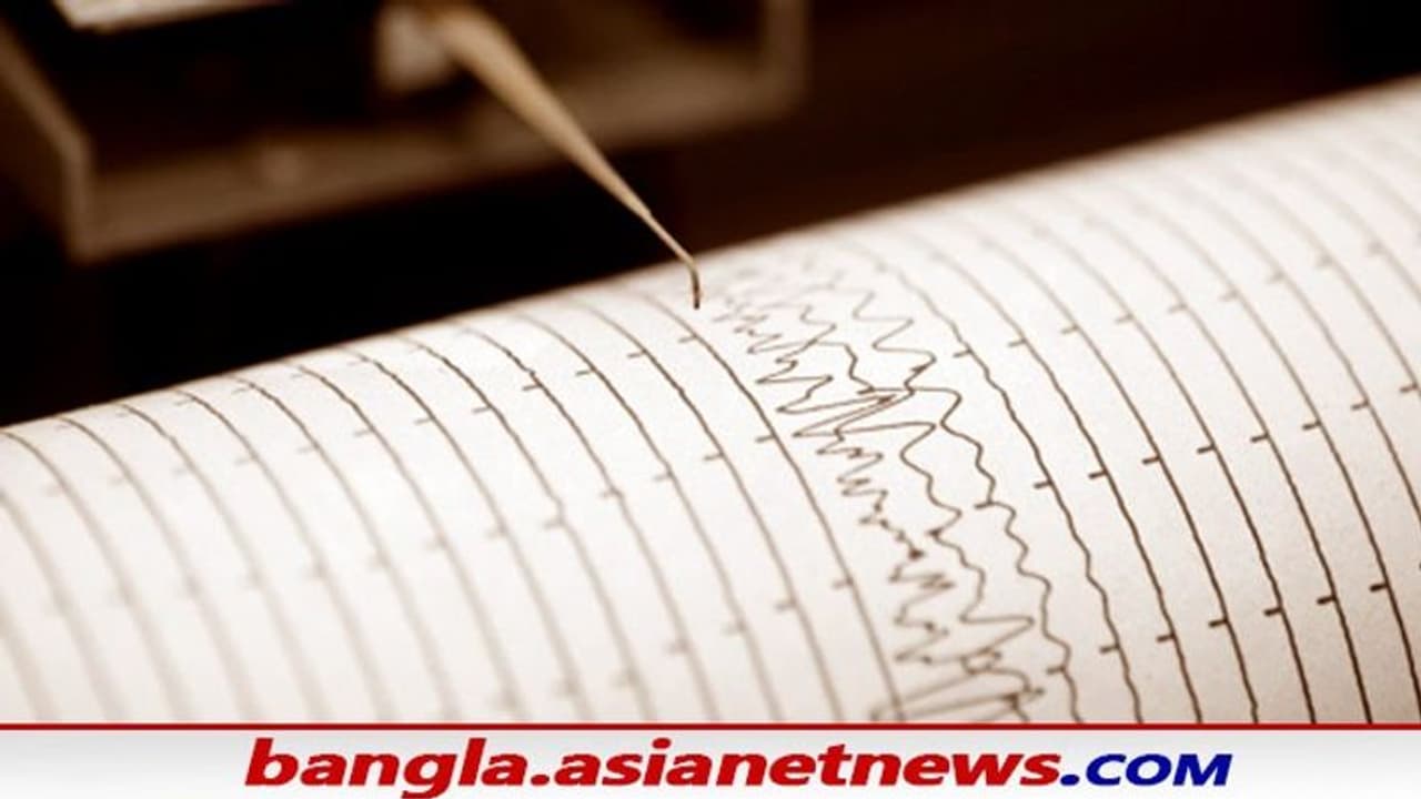 Indonesia Earthquake: সুনামি আতঙ্ক ছড়িয়ে প্রবল ভূমিকম্প ইন্দোনেশিয়ায়