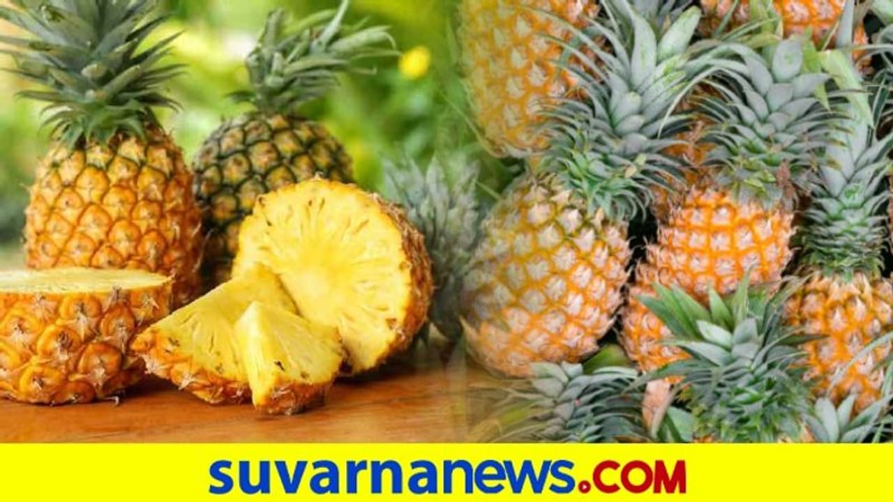 ತ್ರಿಪುರಾ ಸಿಎಂರಿಂದ ಬಾಂಗ್ಲಾ ಪ್ರಧಾನಿಗೆ ಅನಾನಸ್ ಗಿಫ್ಟ್ ತ್ರಿಪುರಾ ಸಿಎಂರಿಂದ ಬಾಂಗ್ಲಾ ಪ್ರಧಾನಿಗೆ ಅನಾನಸ್ ಗಿಫ್ಟ್