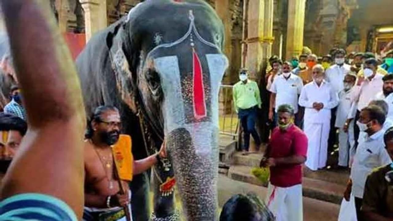 இந்த விஷயத்தில் தயவு தாட்சணை கிடையாது.. கிரிமினல் நடவடிக்கை தான்.. எச்சரிக்கும் அமைச்சர் சேகர்பாபு..! இந்த விஷயத்தில் தயவு தாட்சணை கிடையாது.. கிரிமினல் நடவடிக்கை தான்.. எச்சரிக்கும் அமைச்சர் சேகர்பாபு..!