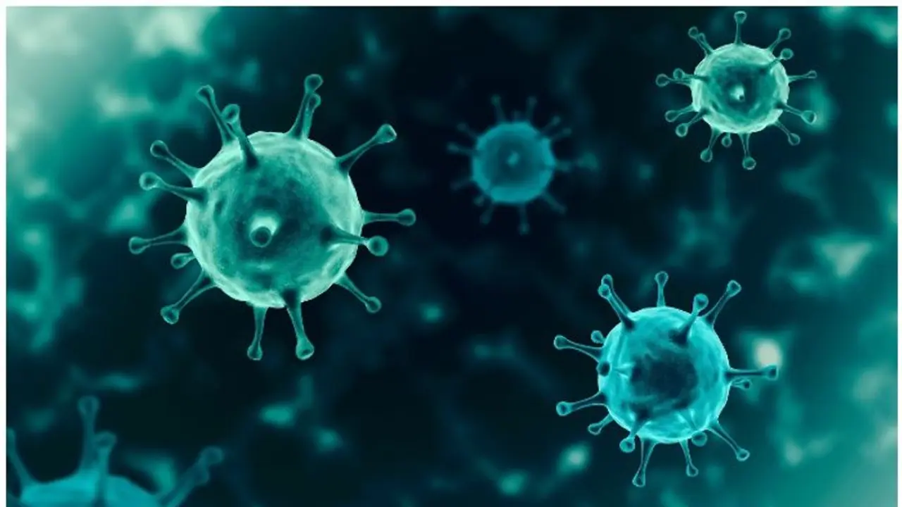 ബെംഗ്ലൂരുവിൽ 21 മലയാളി നഴ്സിംഗ് വിദ്യാര്‍ത്ഥികള്‍ക്ക് കൊവിഡ്, കേരളത്തിൽ നിന്നെത്തുന്നവർക്ക് കർശന പരിശോധന