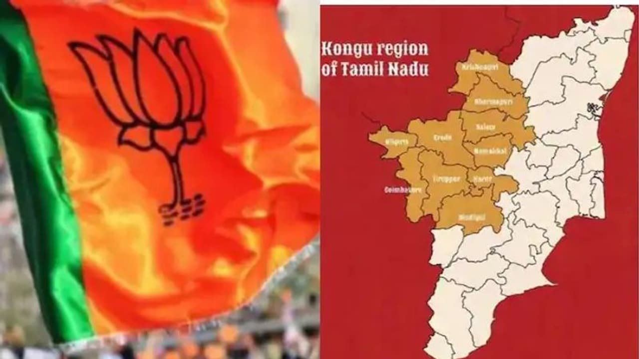 'തമിഴ്നാടിനെ വിഭജിക്കേണ്ടതാണ്'; വിവാദങ്ങൾക്കിടെ നിലപാട് വ്യക്തമാക്കി ബിജെപി 'തമിഴ്നാടിനെ വിഭജിക്കേണ്ടതാണ്'; വിവാദങ്ങൾക്കിടെ നിലപാട് വ്യക്തമാക്കി ബിജെപി