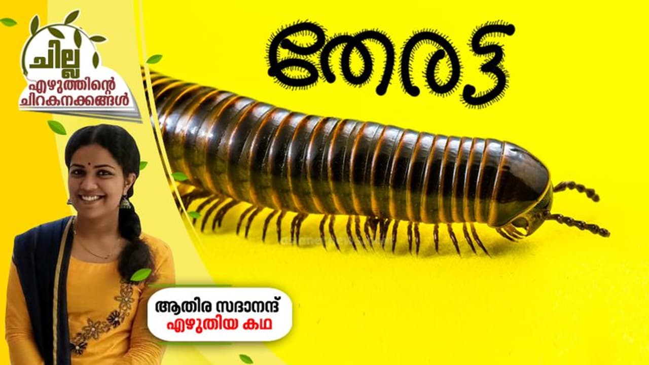 തേരട്ട , ആതിര സദാനന്ദ് എഴുതിയ കഥ