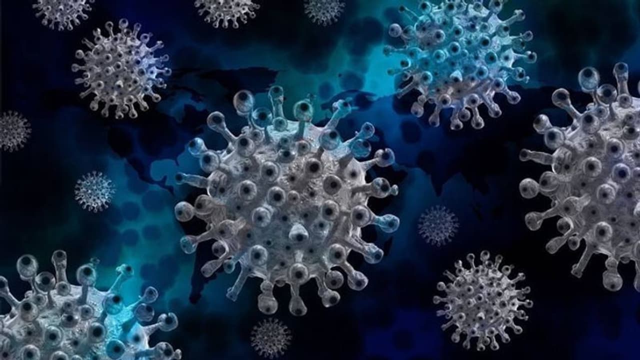 UP News: यूपी में कोरोना ने फिर दी दस्तक, मथुरा में 3 विदेशी पर्यटक पाए गए कोरोना से संक्रमित