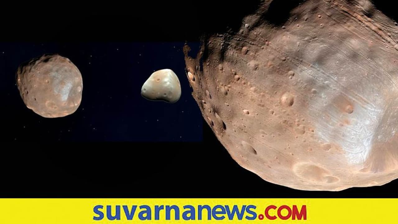 ಇದೇನಿದು ‘ಆಲೂಗಡ್ಡೆ’ ರೀತಿ ಕಾಣುತ್ತಿದೆಯಲ್ಲ? ಯಾವ ಕಾಯಿ ಇದು?