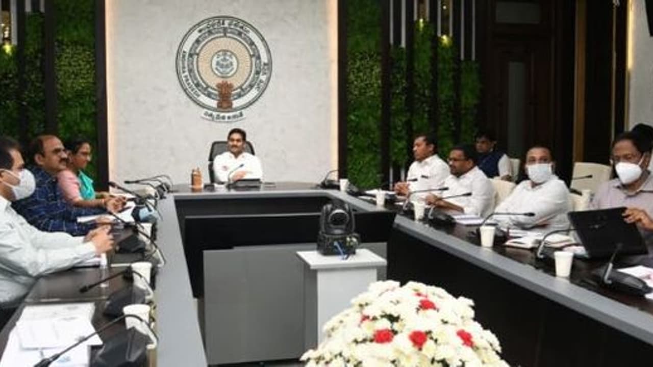 ఆక్వా యూనివర్సిటీ పనుల్లో వేగం పెంచండి..: అధికారులకు సీఎం జగన్ ఆదేశం