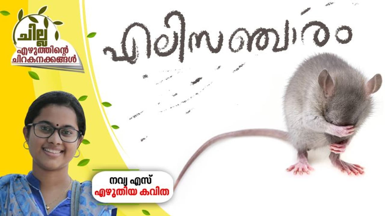 എലിസഞ്ചാരം, നവ്യ എസ് എഴുതിയ കവിത എലിസഞ്ചാരം, നവ്യ എസ് എഴുതിയ കവിത