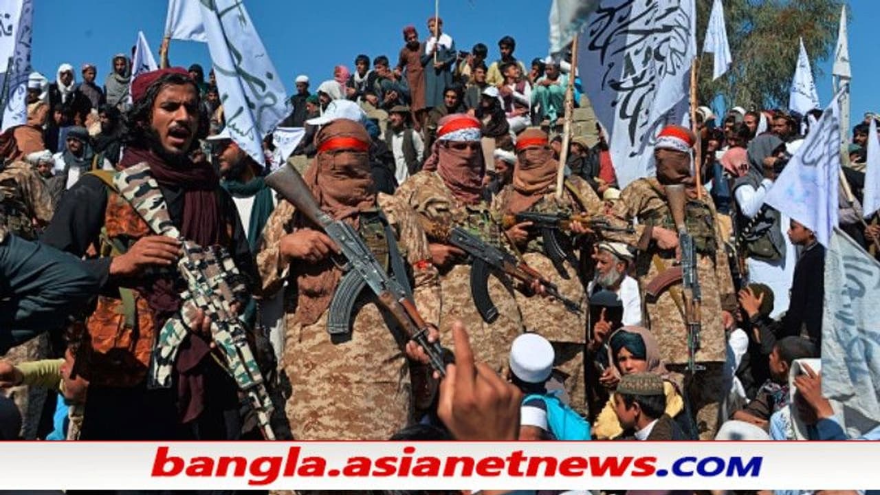 মৃত্যু উপত্যকা আফগানিস্তান তালিবানি গুলিতে নিমেষে ঝাঁঝরা ২২ কমান্ডো, ভাইরাল হল ভিডিও