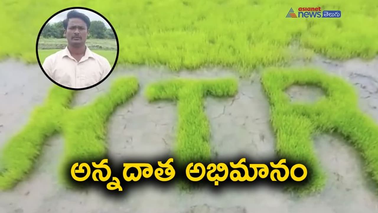 తన పేరుతో వరి పైరు... యువ రైతుకు కేటీఆర్ కృతజ్ఞతలు తన పేరుతో వరి పైరు... యువ రైతుకు కేటీఆర్ కృతజ్ఞతలు
