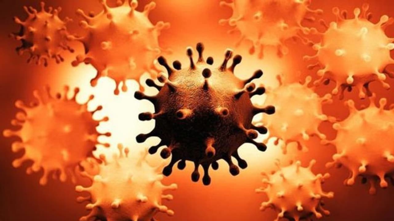 कंट्रोल से बाहर हुआ केरल में कोरोना, 24 घंटे में मिले 15 हजार से अधिक मामले; 1.17 लाख एक्टिव, मौतें भी 128 कंट्रोल से बाहर हुआ केरल में कोरोना, 24 घंटे में मिले 15 हजार से अधिक मामले; 1.17 लाख एक्टिव, मौतें भी 128