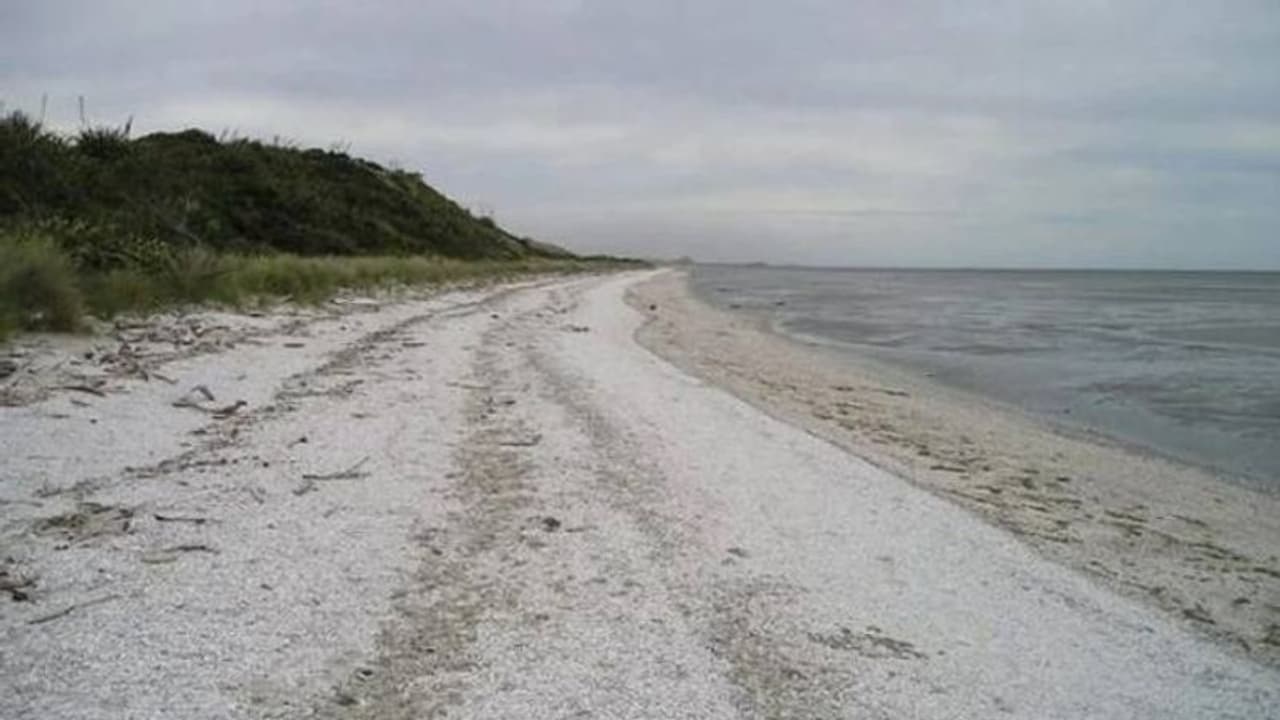 വഴക്കാളിയായ മകളെ അനുസരണ പഠിപ്പിക്കണം, ഒറ്റപ്പെട്ട ദ്വീപിലേക്ക് കടത്തി മാതാപിതാക്കൾ, ഒടുവിൽ... വഴക്കാളിയായ മകളെ അനുസരണ പഠിപ്പിക്കണം, ഒറ്റപ്പെട്ട ദ്വീപിലേക്ക് കടത്തി മാതാപിതാക്കൾ, ഒടുവിൽ...