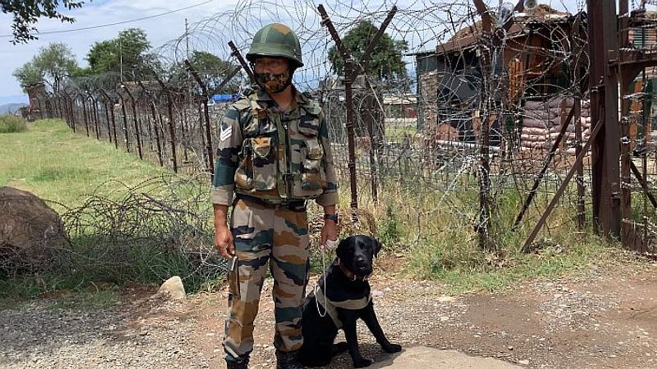 নিয়ন্ত্রণরেখায় মাদক কারবারিদের কাছে বিভীষিকা এই দুই বছরের সারমেয়, জানুন ডোটির গল্প