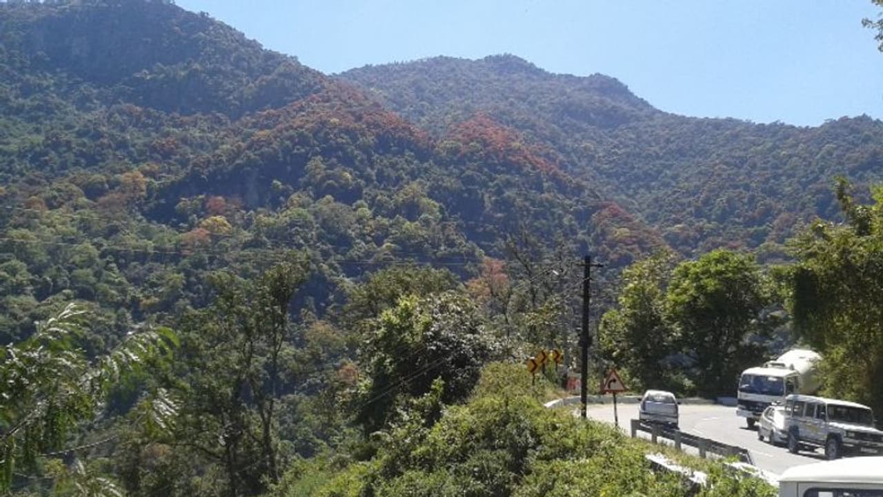 നീലഗിരിയില് പ്ലാസ്റ്റിക് ഉല്പ്പന്നങ്ങളുടെ ഉപയോഗത്തിന് സമ്പൂര്ണ നിരോധനം നീലഗിരിയില് പ്ലാസ്റ്റിക് ഉല്പ്പന്നങ്ങളുടെ ഉപയോഗത്തിന് സമ്പൂര്ണ നിരോധനം