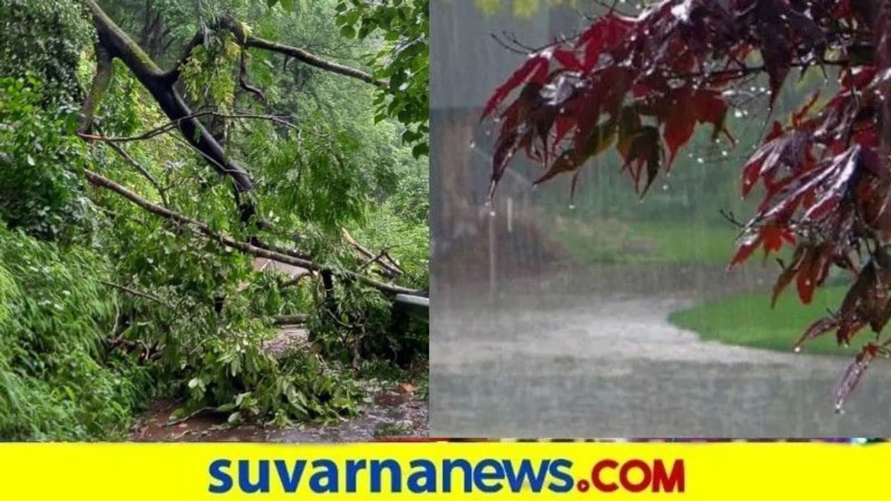 ಹಲವೆಡೆ ವರುಣನ ಅಬ್ಬರಕ್ಕೆ ಜನ ತತ್ತರ : ರಸ್ತೆ ಸಂಪರ್ಕ ಕಟ್ ಭೂ ಕುಸಿತ