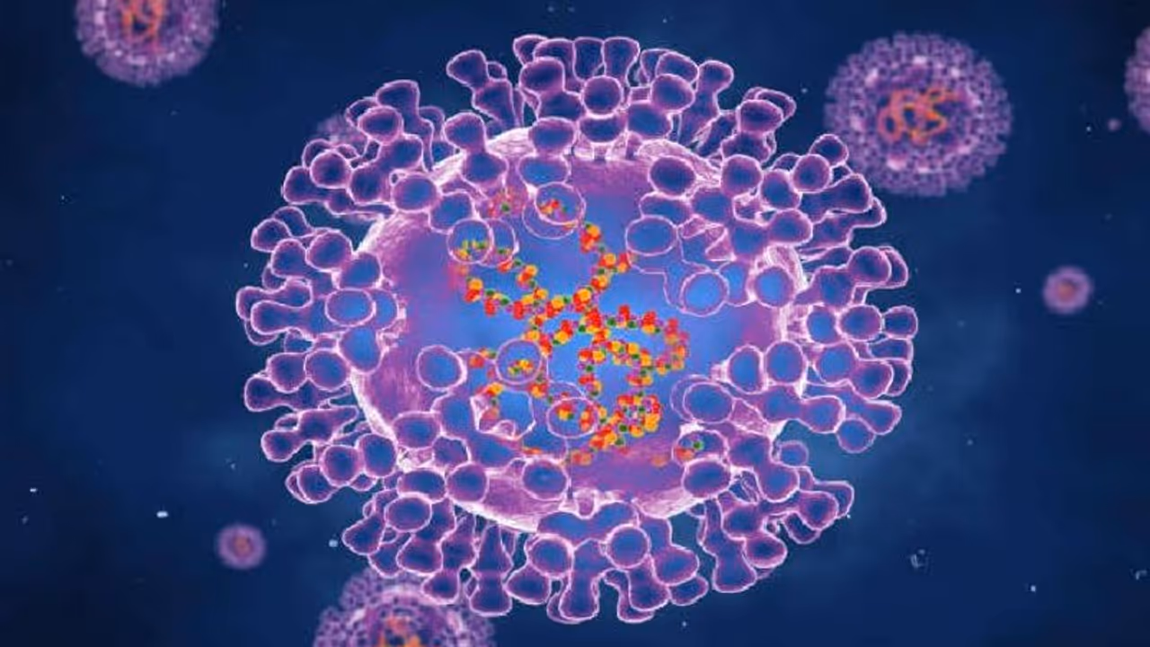 দ্রুত ছড়াচ্ছে মাঙ্কিপক্স, এটি কি কোভিড মহামারির আকার নিতে পারে? জানুন বিশেষজ্ঞদের মত দ্রুত ছড়াচ্ছে মাঙ্কিপক্স, এটি কি কোভিড মহামারির আকার নিতে পারে? জানুন বিশেষজ্ঞদের মত