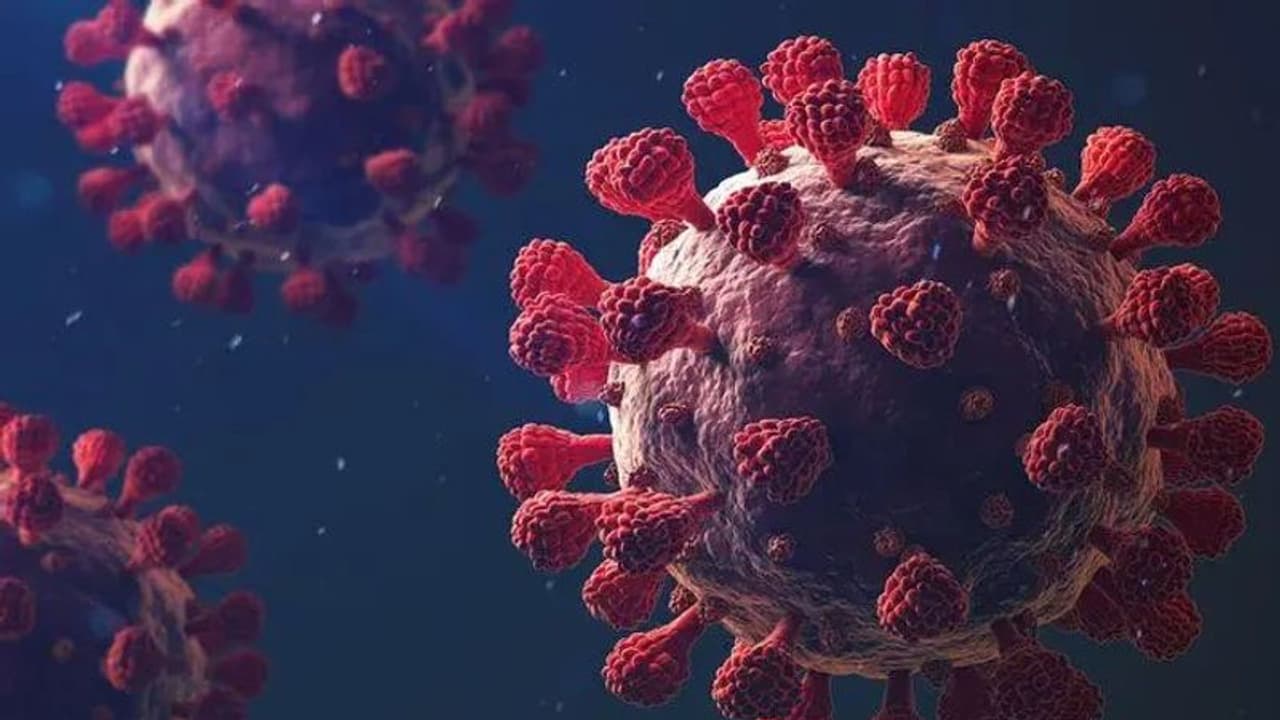 একদা করোনাহীন পুরুলিয়ায় বাড়ছে সংক্রমণ, তীব্র আতঙ্কে গোটা জেলা