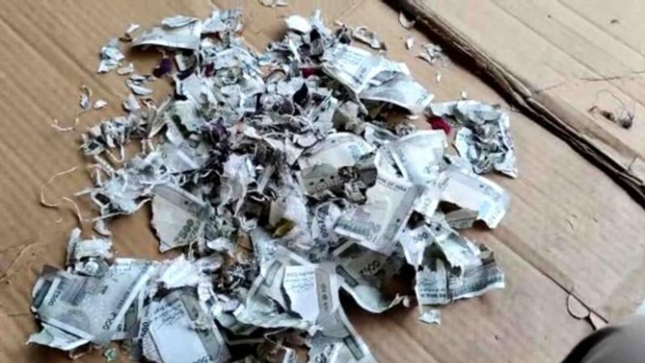 ഓപ്പറേഷന് വേണ്ടി സമാഹരിച്ച 2 ലക്ഷം രൂപ എലി കരണ്ടുനശിപ്പിച്ചു; കര്ഷകന് സഹായവുമായി മന്ത്രി ഓപ്പറേഷന് വേണ്ടി സമാഹരിച്ച 2 ലക്ഷം രൂപ എലി കരണ്ടുനശിപ്പിച്ചു; കര്ഷകന് സഹായവുമായി മന്ത്രി