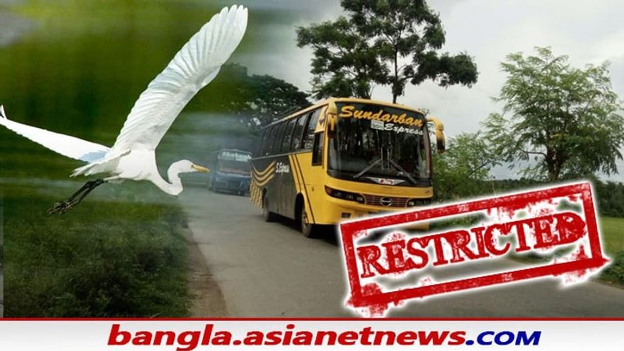 সংকটে পর্যটন, দীঘা সৈকত থেকে দার্জিলিং, করোনা গাইডলাইনের কোপ এবার বকখালি সুন্দরবনেও