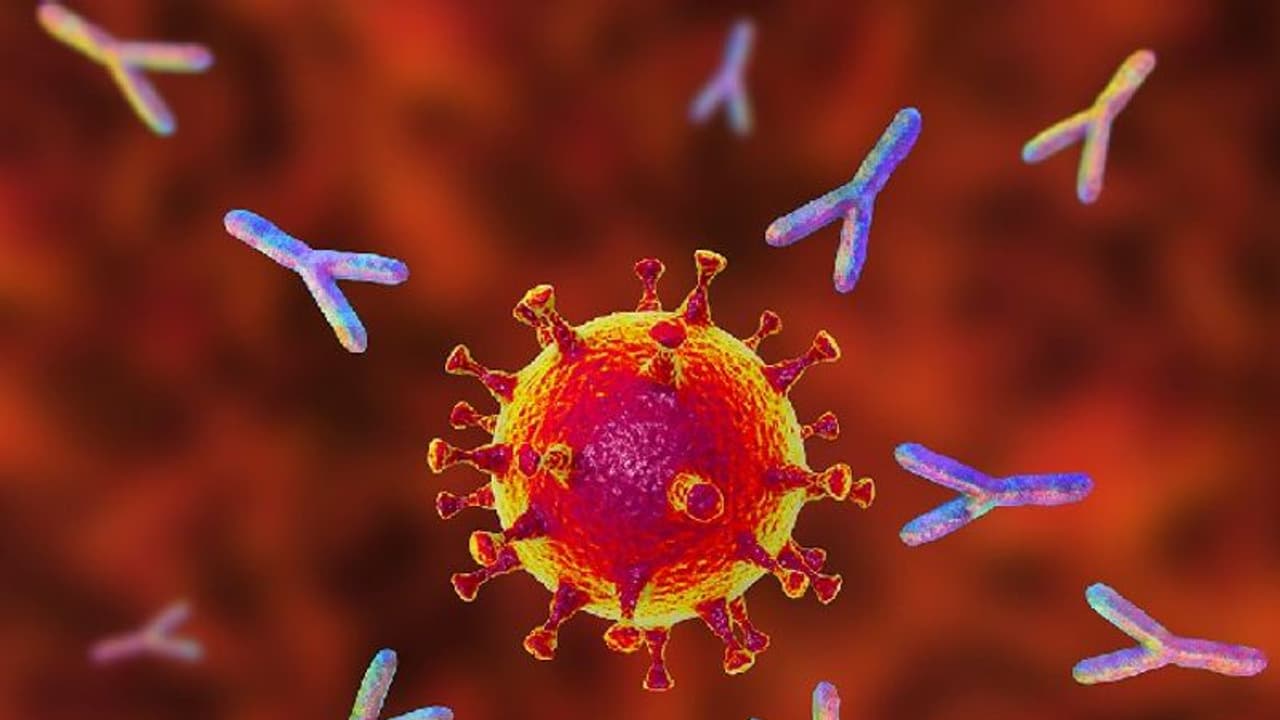 കൊവിഡ് വന്ന ശേഷം ഒമ്പത് മാസത്തോളം ആന്റിബോഡി ശരീരത്തില്‍ കാണുമെന്ന് പഠനം