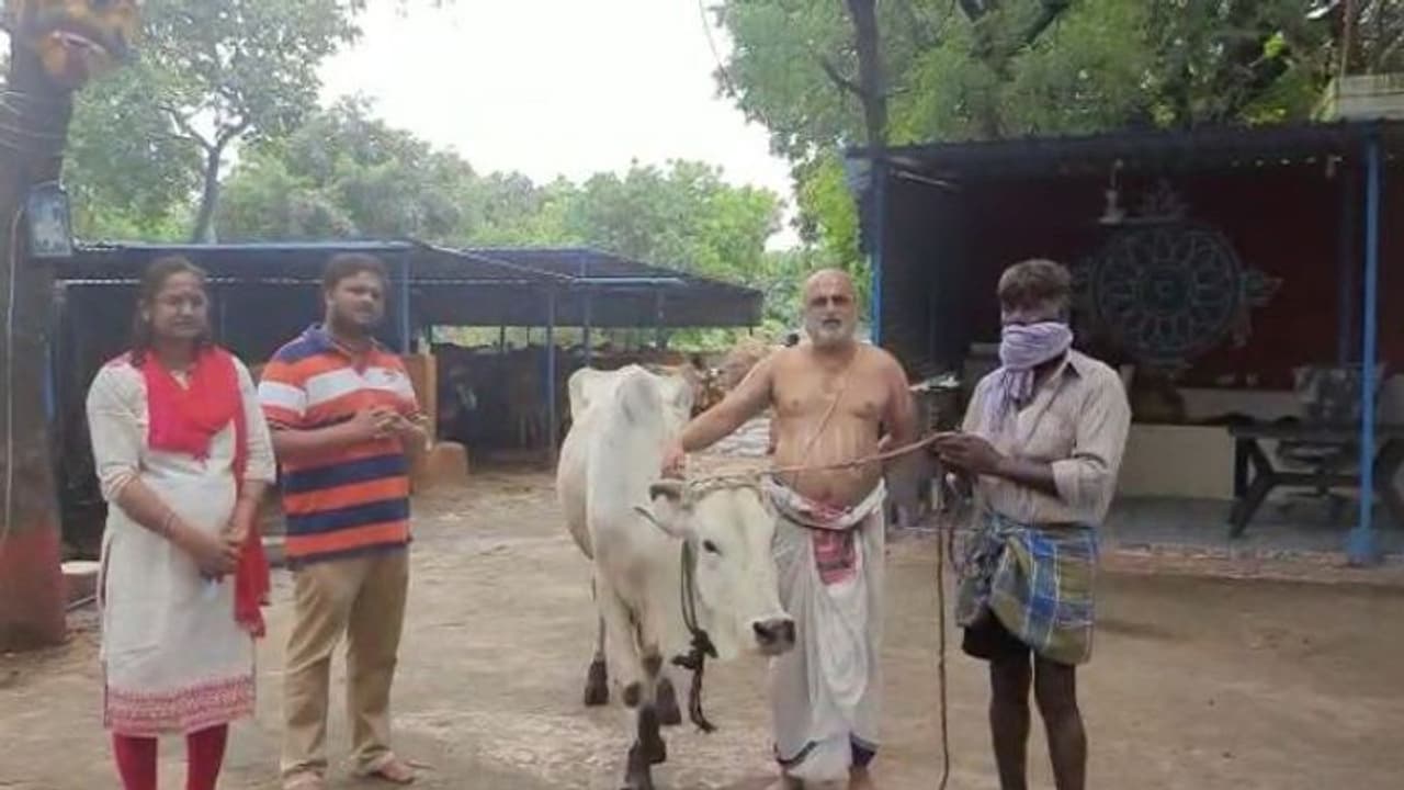 రైతుకు ఆవును బహూకరించిన చిలుకూరు బాలాజీ ఆలయం.. (వీడియో) రైతుకు ఆవును బహూకరించిన చిలుకూరు బాలాజీ ఆలయం.. (వీడియో)