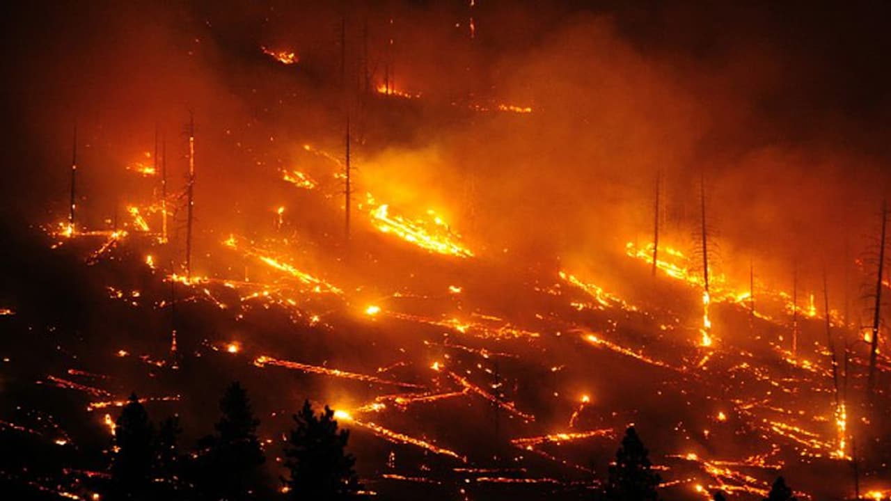 ಜಾಗತಿಕ ತಾಪದಿಂದ ಸಮಸ್ಯೆ: ವಿಶ್ವದ ಮೊದಲ ರೋಗಿ ಪತ್ತೆ! ಜಾಗತಿಕ ತಾಪದಿಂದ ಸಮಸ್ಯೆ: ವಿಶ್ವದ ಮೊದಲ ರೋಗಿ ಪತ್ತೆ!