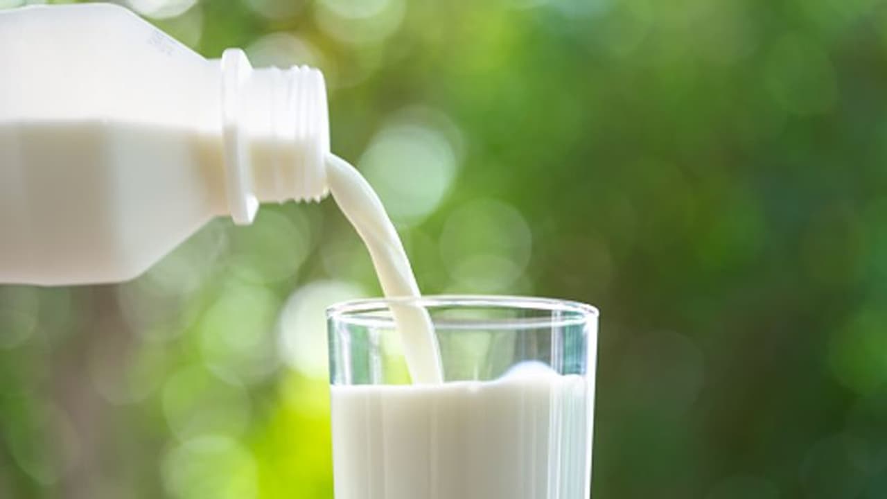 Buttermilk Recipe: इस तरह इस्तेमाल कर बनाएं स्वादिष्ट पकवान