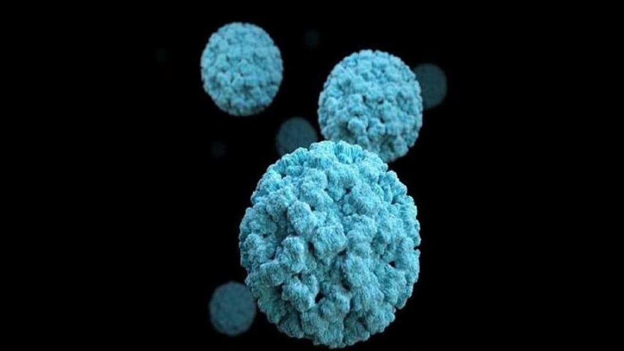 Norovirus Kerala : കേരളത്തില്‍ നോറോവൈറസ് കേസുകള്‍; ഇത് പകരുന്നത് എങ്ങനെ?