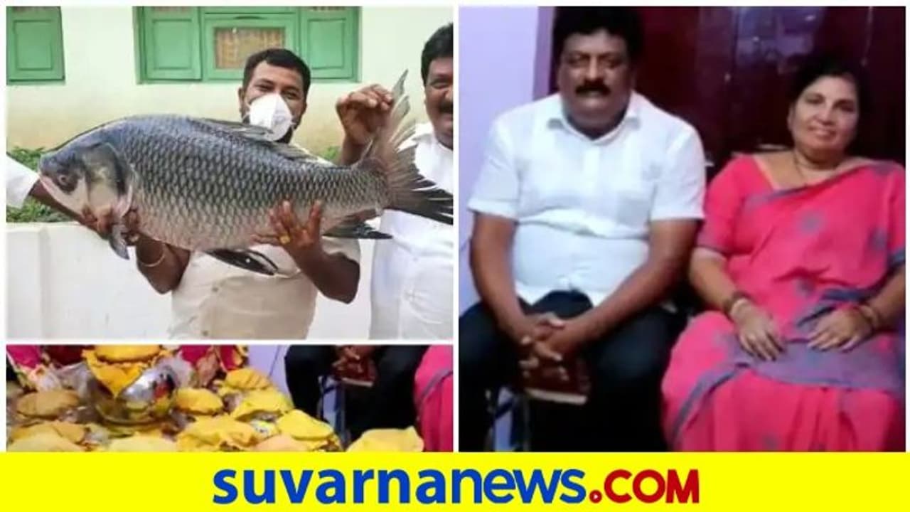 ಮಗಳಿಗೆ ಅಪ್ಪನ ಭರ್ಜರಿ ಉಡುಗೊರೆ: 1,000 ಕೆಜಿ ಮೀನು, 10 ಕುರಿ, 250 ಕೆಜಿ ಸಿಹಿ!