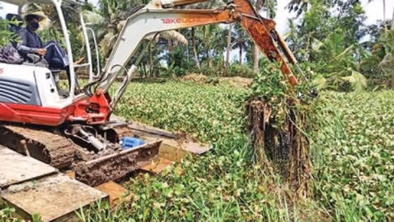 ആലപ്പുഴയിൽ പഞ്ചായത്ത് അധികൃതർ കൈയൊഴിഞ്ഞ നാട്ടുതോട് ശുചീകരണം ഏറ്റെടുത്ത് നാട്ടുകാർ ആലപ്പുഴയിൽ പഞ്ചായത്ത് അധികൃതർ കൈയൊഴിഞ്ഞ നാട്ടുതോട് ശുചീകരണം ഏറ്റെടുത്ത് നാട്ടുകാർ