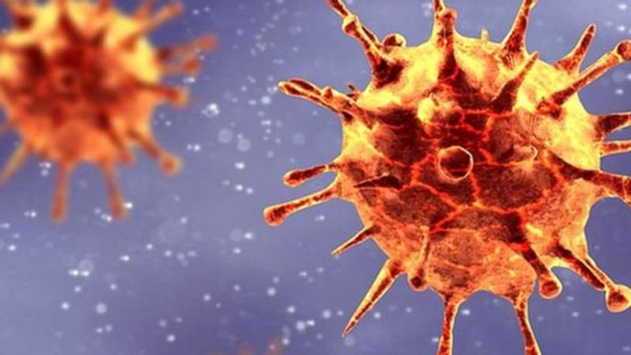 ఏపీ: రోజువారీ కేసుల్లో భారీ తగ్గుదల, కొత్తగా 1843 మందికి పాజిటివ్.. చిత్తూరులో అత్యధికం