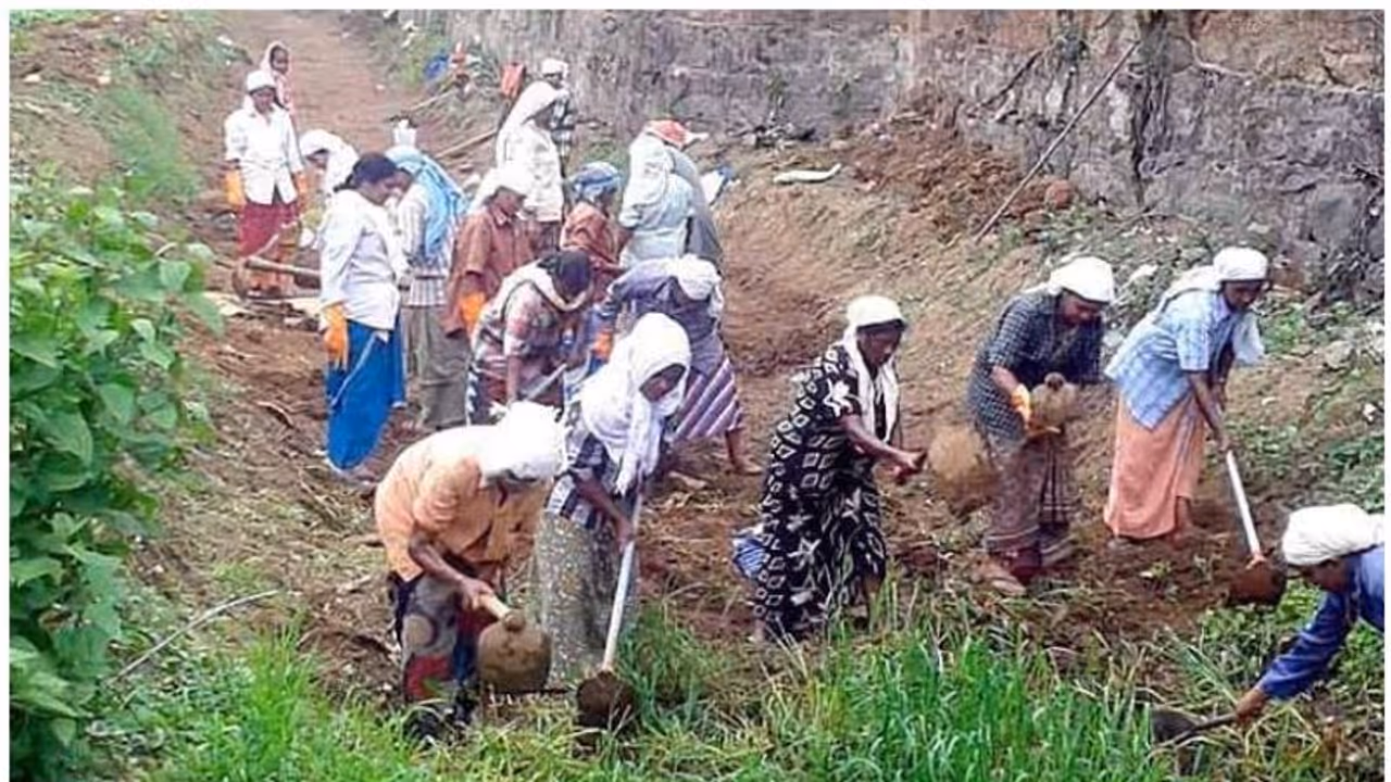 മഹാത്മാഗാന്ധി ദേശീയ ഗ്രാമീണ തൊഴിലുറപ്പ് പദ്ധതി കരാർ വ്യവസ്ഥയിൽ തൊഴിലവസരം; നവംബർ 15 നകം അപേക്ഷ മഹാത്മാഗാന്ധി ദേശീയ ഗ്രാമീണ തൊഴിലുറപ്പ് പദ്ധതി കരാർ വ്യവസ്ഥയിൽ തൊഴിലവസരം; നവംബർ 15 നകം അപേക്ഷ