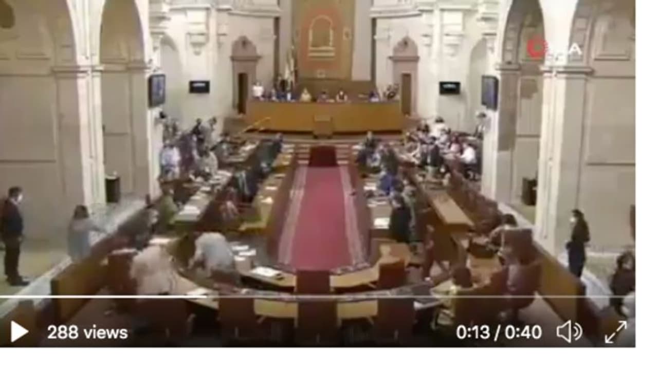 Viral video: Spanish politicians scramble after rat enters Parliament Viral video: Spanish politicians scramble after rat enters Parliament