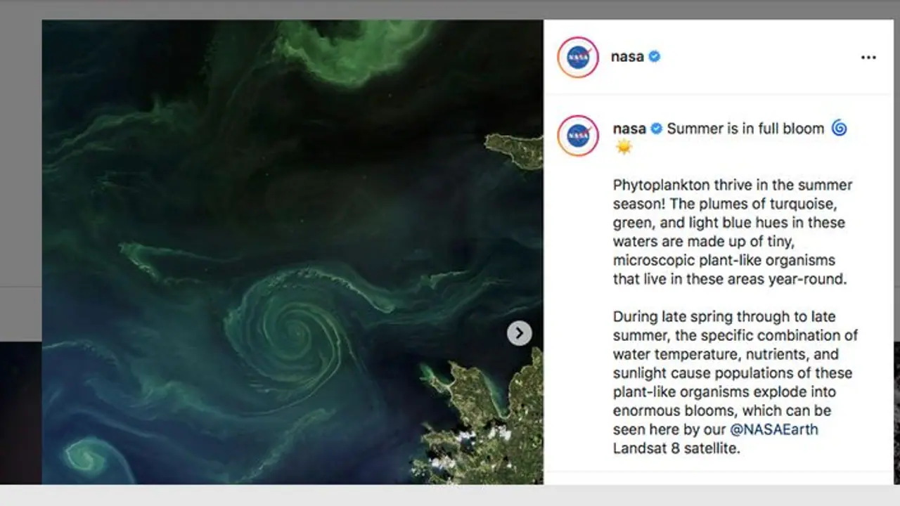 NASA shares aerial view of phytoplankton bloom, leaves netizens in awe