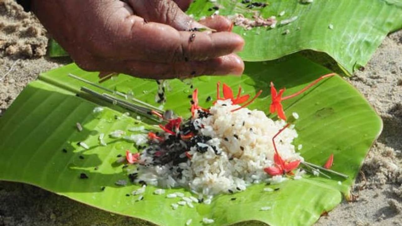തിരുവിതാംകൂര് ദേവസ്വംബോര്ഡ് ക്ഷേത്രങ്ങളില് കര്ക്കടക വാവ് ബലിതര്പ്പണത്തിന് അനുവാദമില്ല തിരുവിതാംകൂര് ദേവസ്വംബോര്ഡ് ക്ഷേത്രങ്ങളില് കര്ക്കടക വാവ് ബലിതര്പ്പണത്തിന് അനുവാദമില്ല