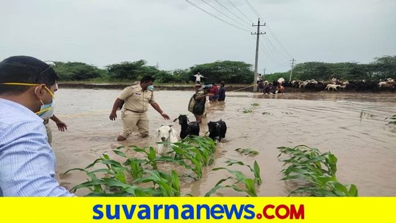 ನವಲಗುಂದ: ಬೆಣ್ಣೆಹಳ್ಳದಲ್ಲಿ ಸಿಲುಕಿರುವ 200 ಕುರಿ, 7 ಕುರಿಗಾಯಿಗಳ ರಕ್ಷಣೆಗೆ ಕಾರ್ಯಾಚರಣೆ ನವಲಗುಂದ: ಬೆಣ್ಣೆಹಳ್ಳದಲ್ಲಿ ಸಿಲುಕಿರುವ 200 ಕುರಿ, 7 ಕುರಿಗಾಯಿಗಳ ರಕ್ಷಣೆಗೆ ಕಾರ್ಯಾಚರಣೆ