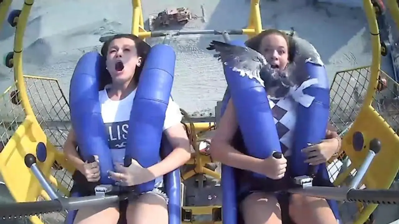 Girl gets slapped by seagull while on a slingshot ride; watch video