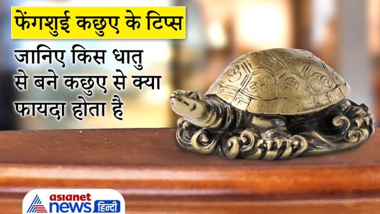 गुड लक के लिए घर में रखना चाहिए Feng Shui के कछुए, जानिए किस धातु से बने कछुए से क्या फायदा होता है गुड लक के लिए घर में रखना चाहिए Feng Shui के कछुए, जानिए किस धातु से बने कछुए से क्या फायदा होता है