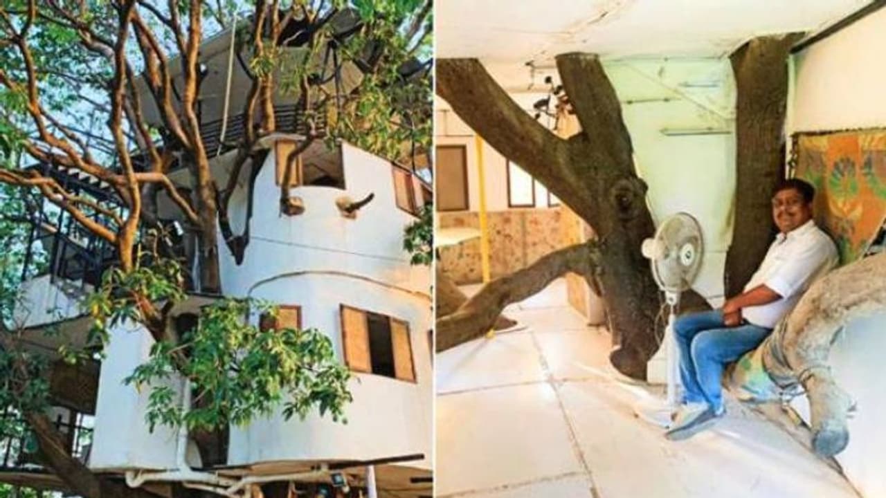 മുത്തശ്ശിമാവ് മുറിക്കാതെ അതിൽ തന്നെ വീടുപണിത് എഞ്ചിനീയർ, ഈ അപൂർവ വീട് ലിംക ബുക്ക് ഓഫ് റെക്കോർഡിലും മുത്തശ്ശിമാവ് മുറിക്കാതെ അതിൽ തന്നെ വീടുപണിത് എഞ്ചിനീയർ, ഈ അപൂർവ വീട് ലിംക ബുക്ക് ഓഫ് റെക്കോർഡിലും