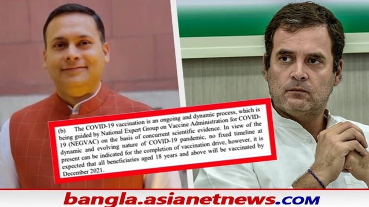 'আপনি কি পড়তে পারেন?', টিকাকরণের সময়সীমা নিয়ে রাহুল গান্ধীকে কটাক্ষ অমিত মালব্যের 'আপনি কি পড়তে পারেন?', টিকাকরণের সময়সীমা নিয়ে রাহুল গান্ধীকে কটাক্ষ অমিত মালব্যের